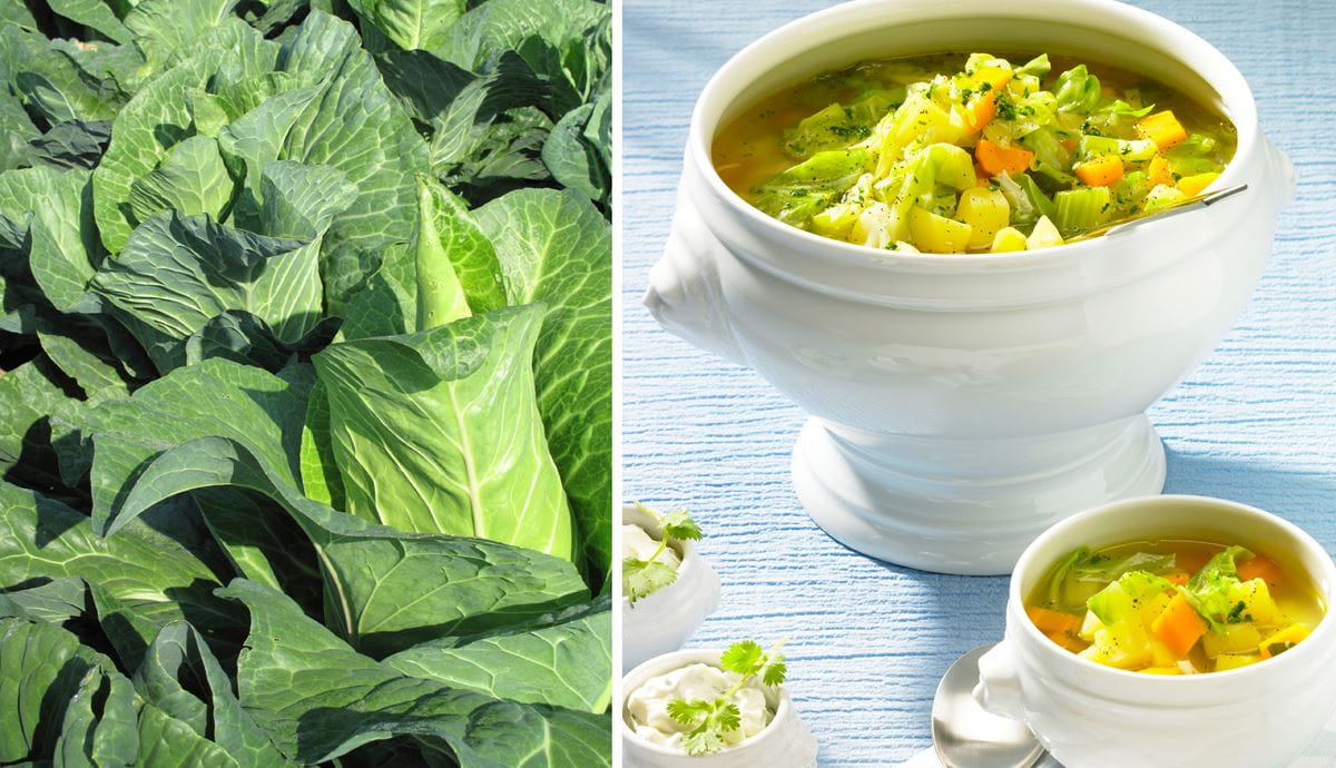recipe image Spitzkohleintopf