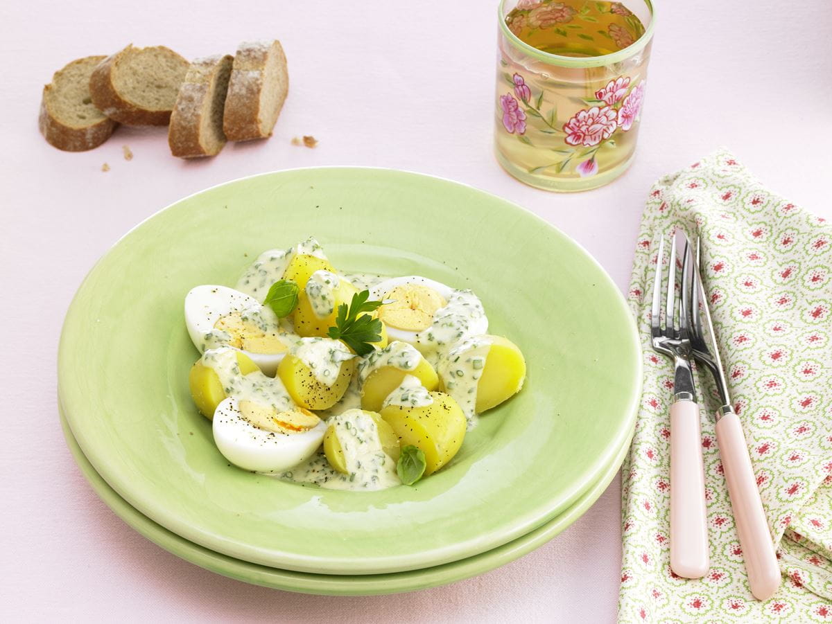 recipe image Eierfrikassee mit Kräutersoße