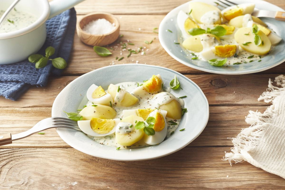 recipe image Eierfrikassee mit Kräutersoße