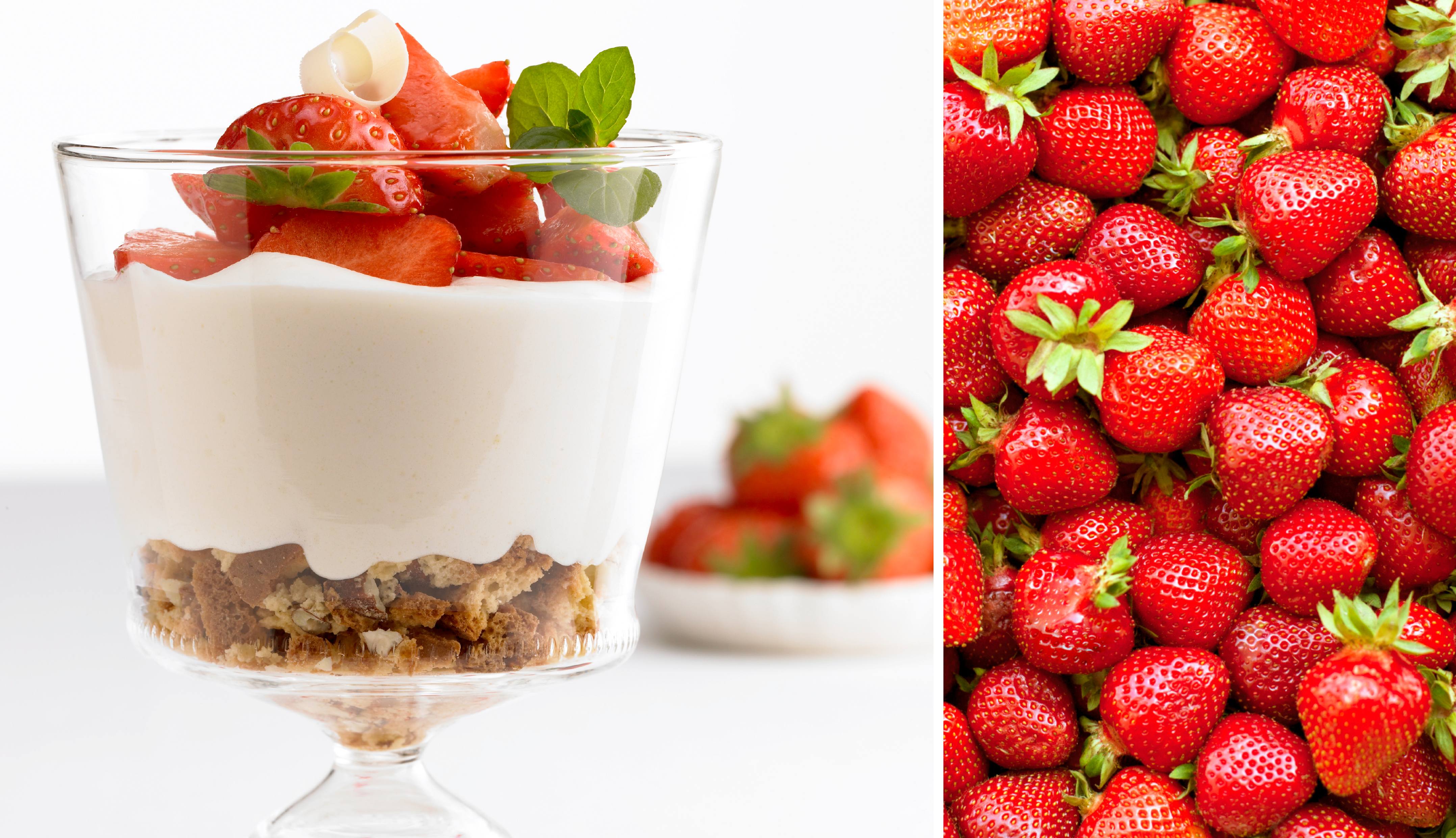 Weiße Schokoladenmousse mit Erdbeeren