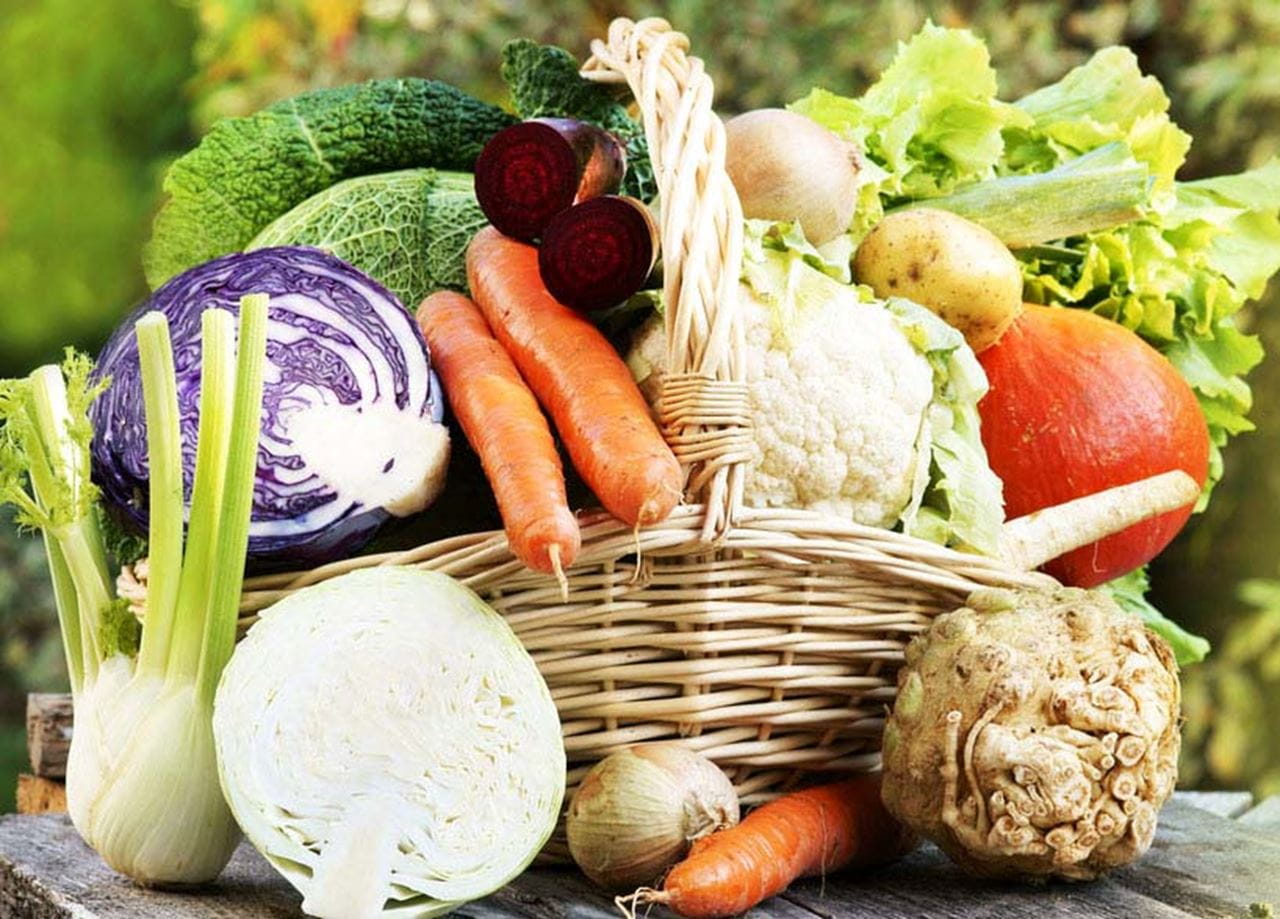 Article, Nordic diet 2.0