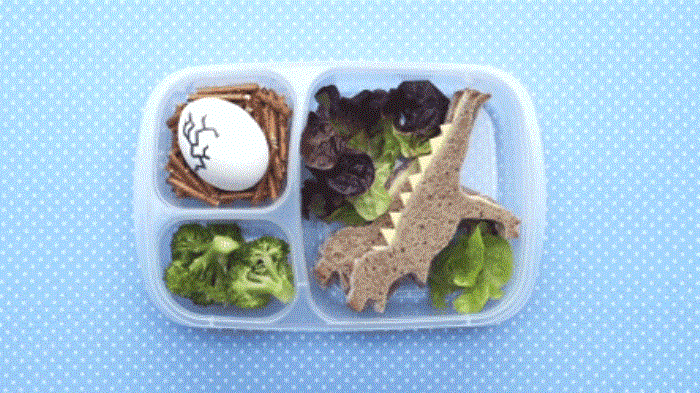 Dino Box