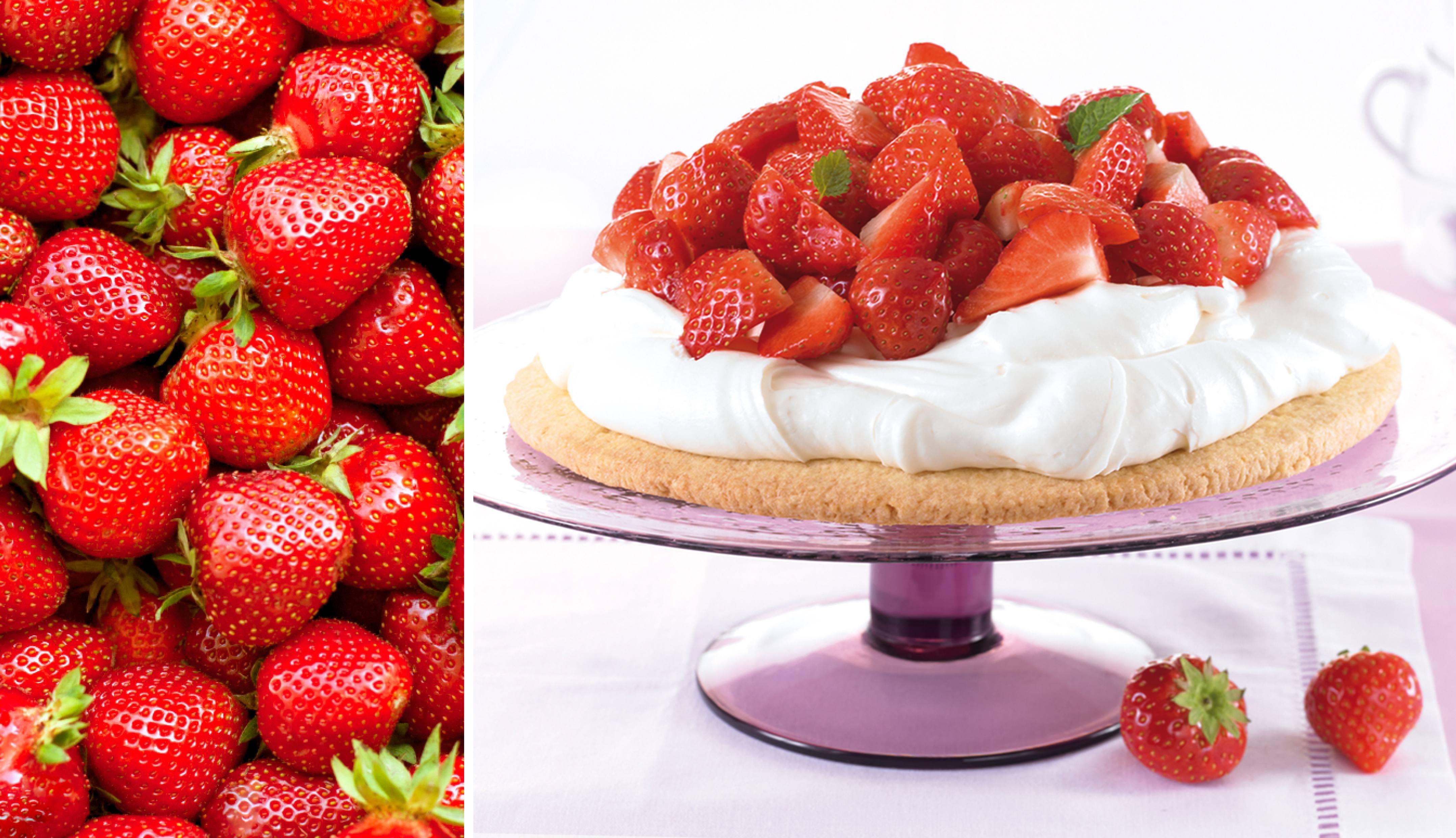 Erdbeertorte mit weißer Schokoladencreme